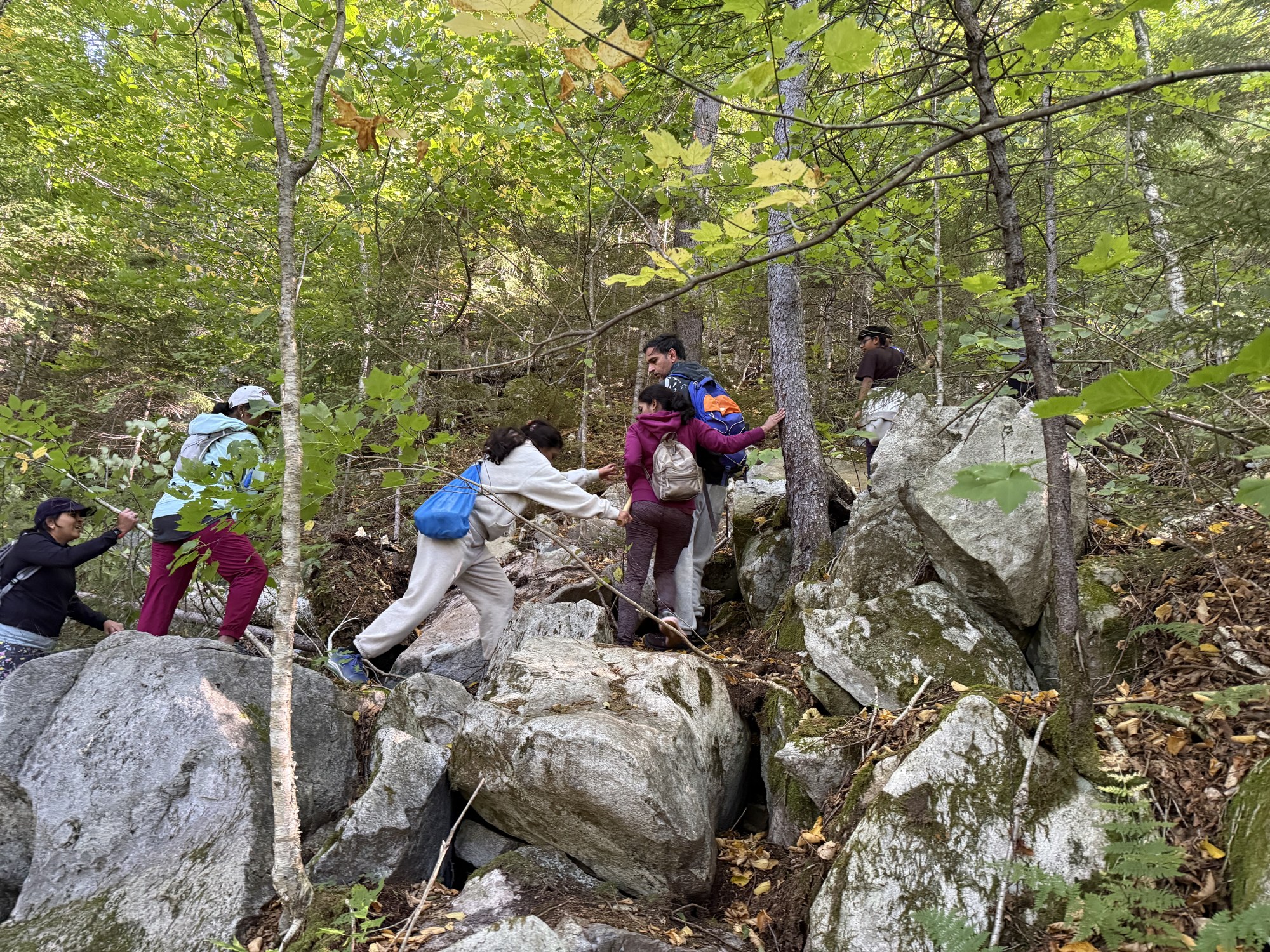 Making our way over the rocks beneath the trees.